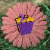 Bee Beep